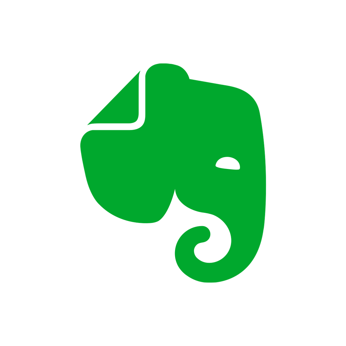 Evernote logo